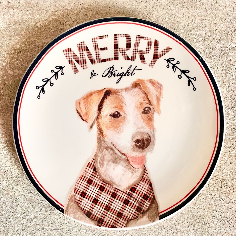 Connections holiday dog plate